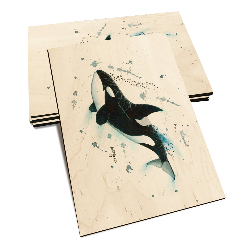 Bartholet's Killer Whale - Classic Edge Classic Edge Postcard (5pk // $2.80ea)