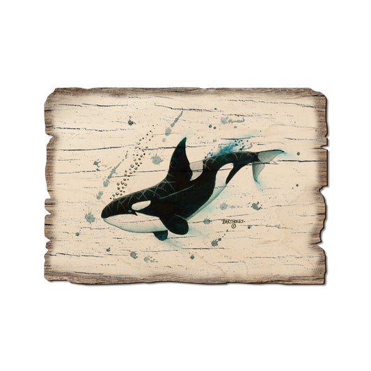 Bartholet's Killer Whale - Weathered Edge Magnet Weathered Edge Postcard (5pk // $2.80ea)