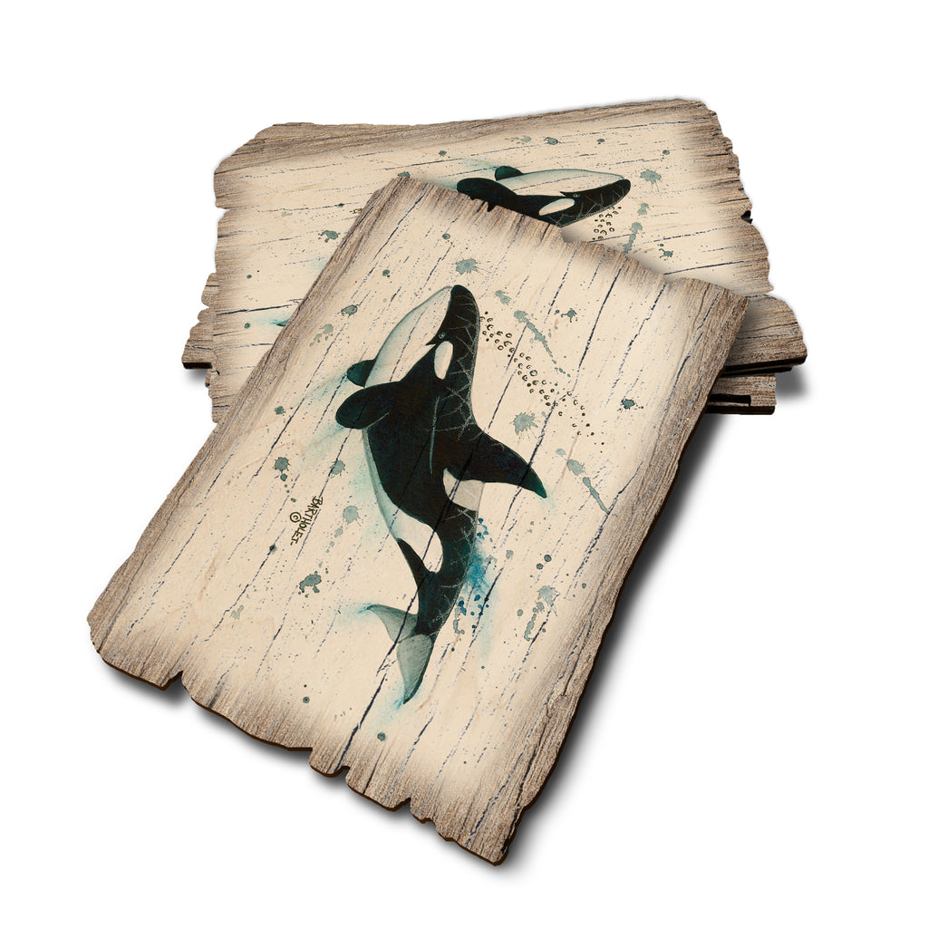 Bartholet's Killer Whale - Weathered Edge Weathered Edge Postcard (5pk // $2.80ea)