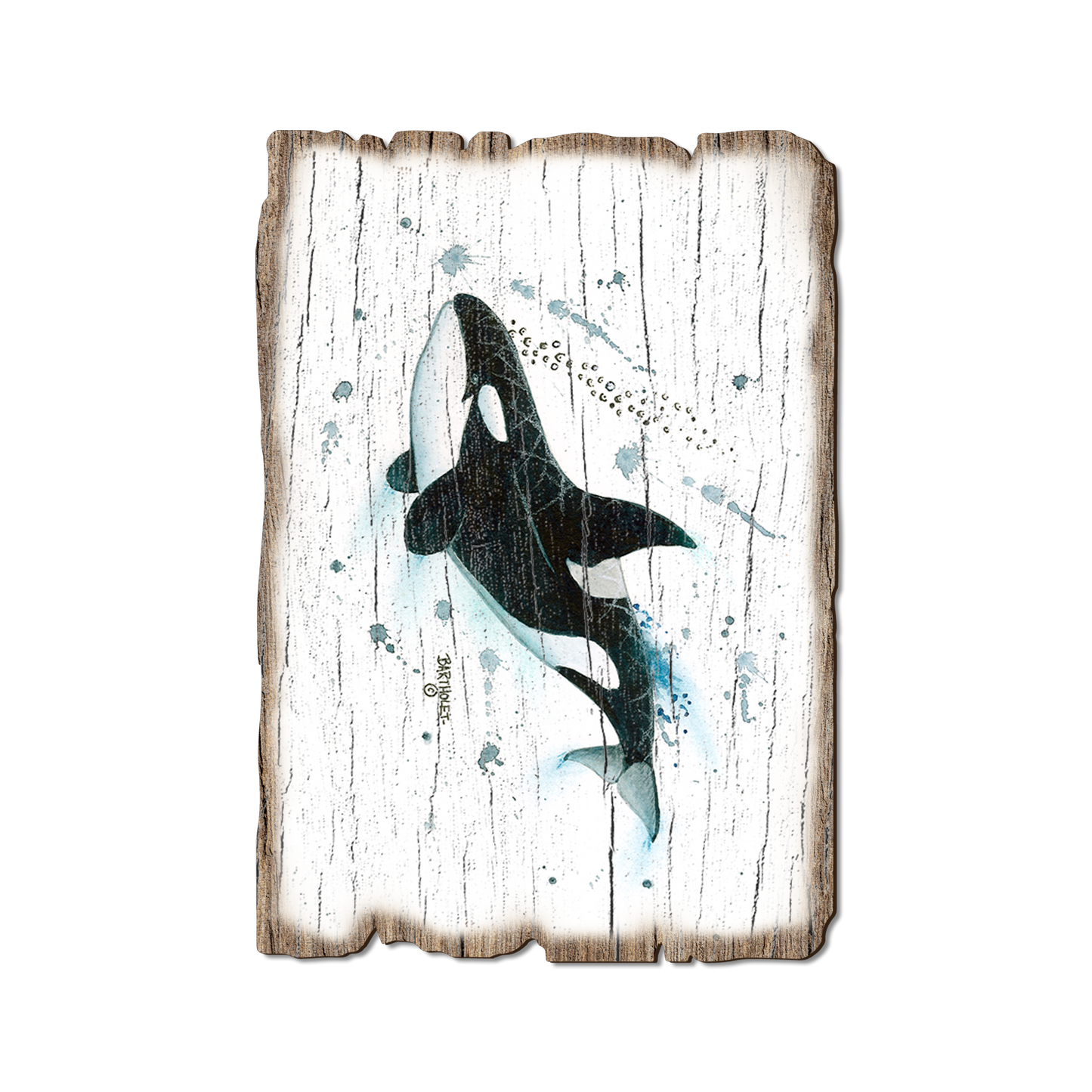 Ornament: Weathered Edge - Bartholet's Killer Whale