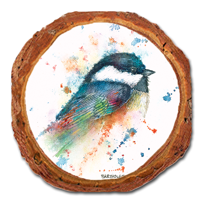 Coaster: Live Edge - Bartholet's Little Black Cap (Pack of 5)