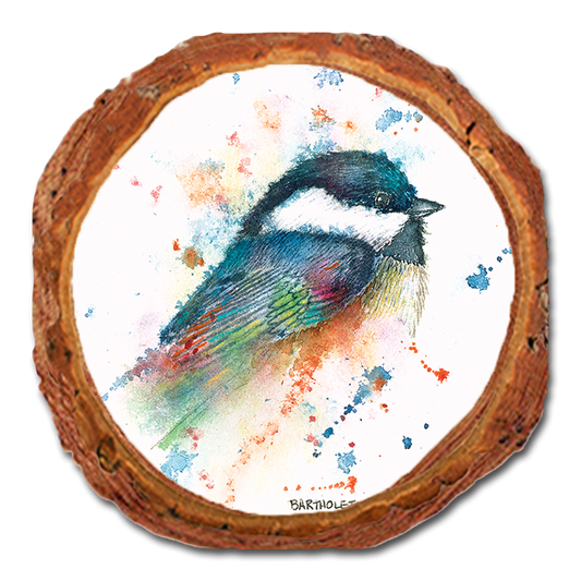 Coaster: Live Edge - Bartholet's Little Black Cap (Pack of 5)