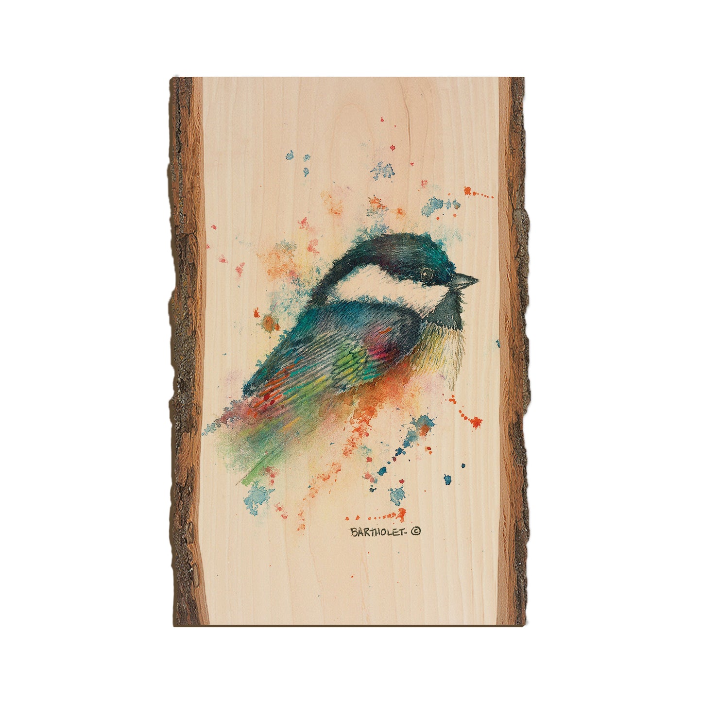Bartholet's Little Black Cap  - Live Edge Live Edge Magnet (5pk // $2.80ea)