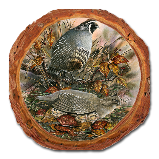 Coaster: Live Edge - Bartholet's Late Clutch (Pack of 5)