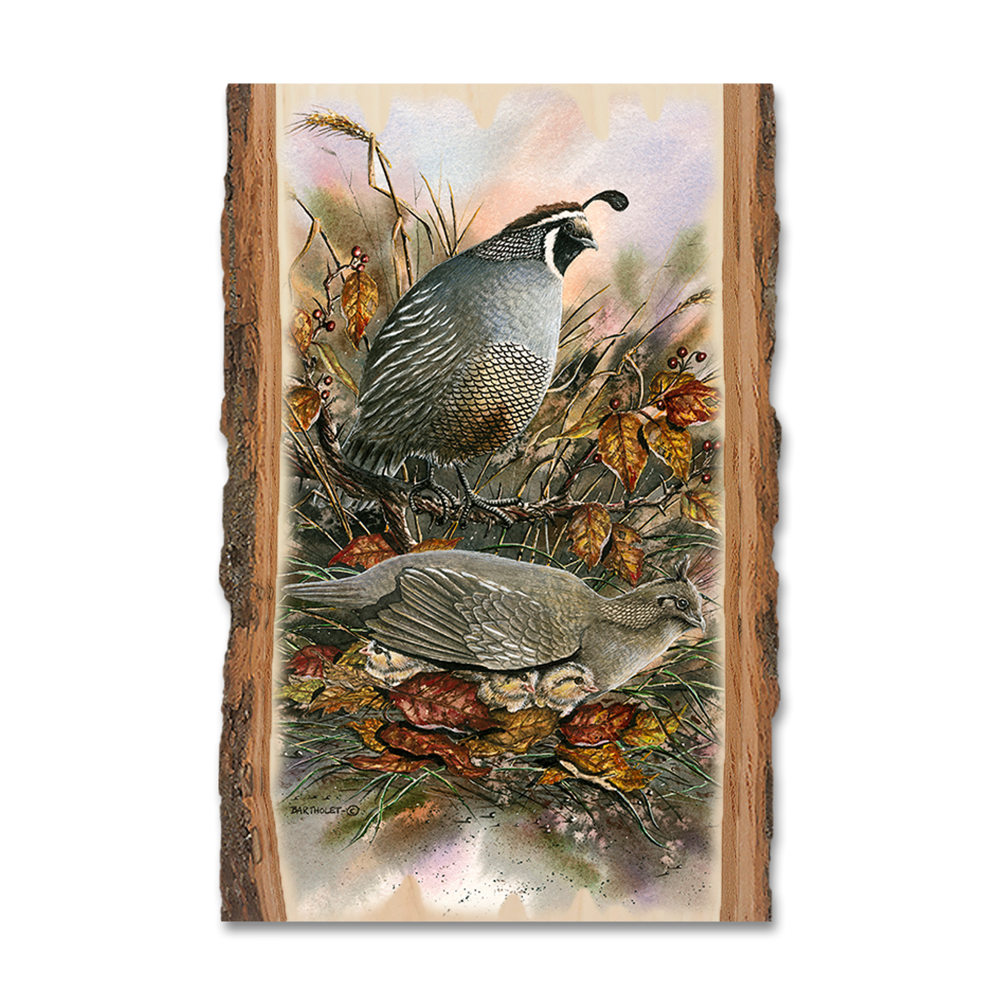 Greeting Card: Live Edge - Bartholet's Late Clutch