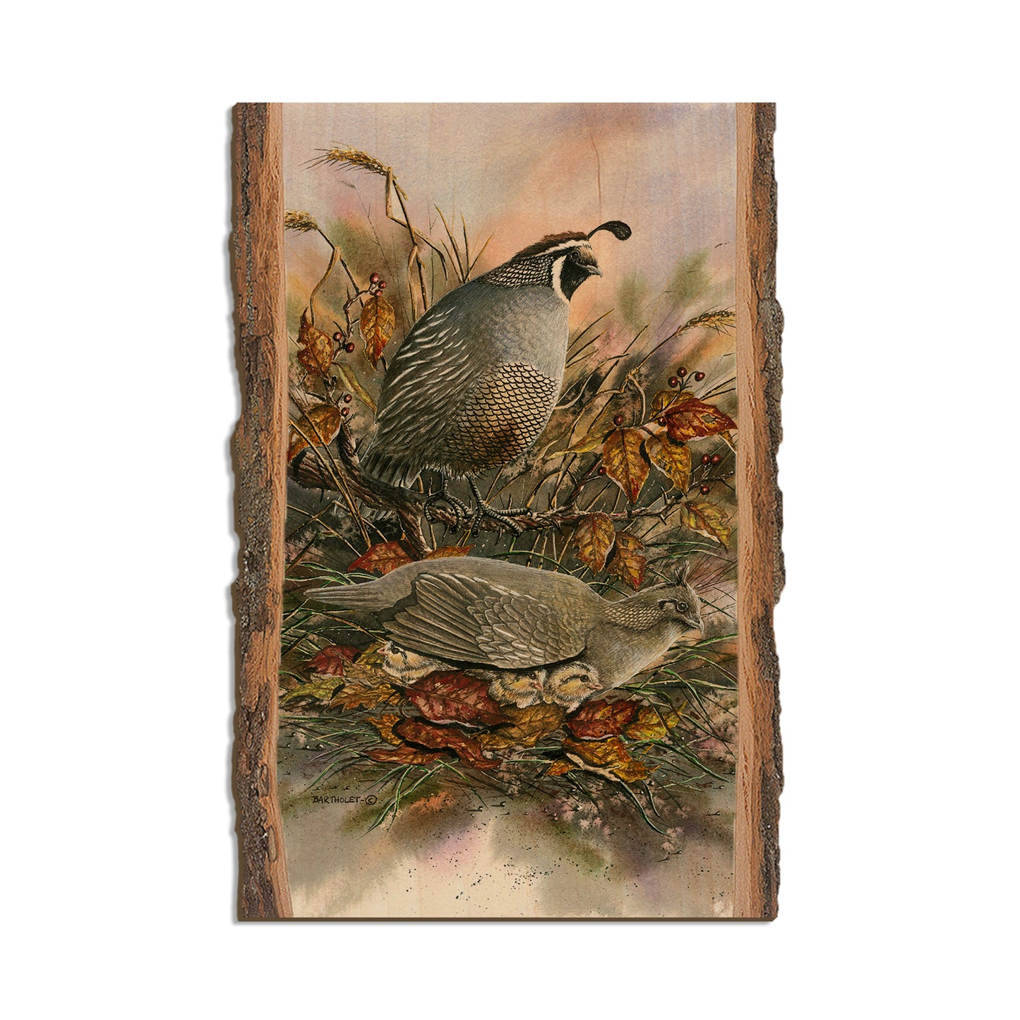 Bartholet's Late Clutch  - Live Edge Live Edge Postcard (5pk // $2.80ea)