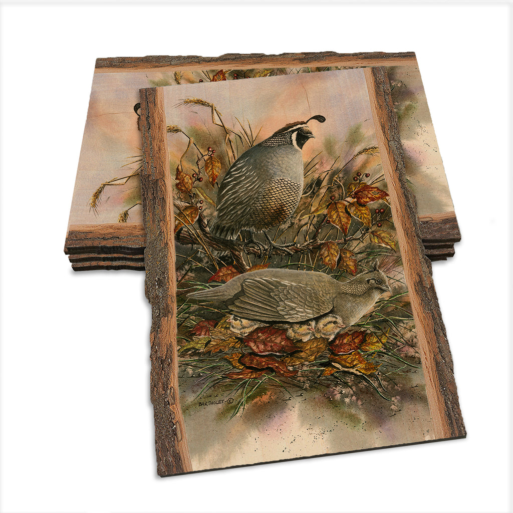 Bartholet's Late Clutch  - Live Edge Live Edge Postcard (5pk // $2.80ea)