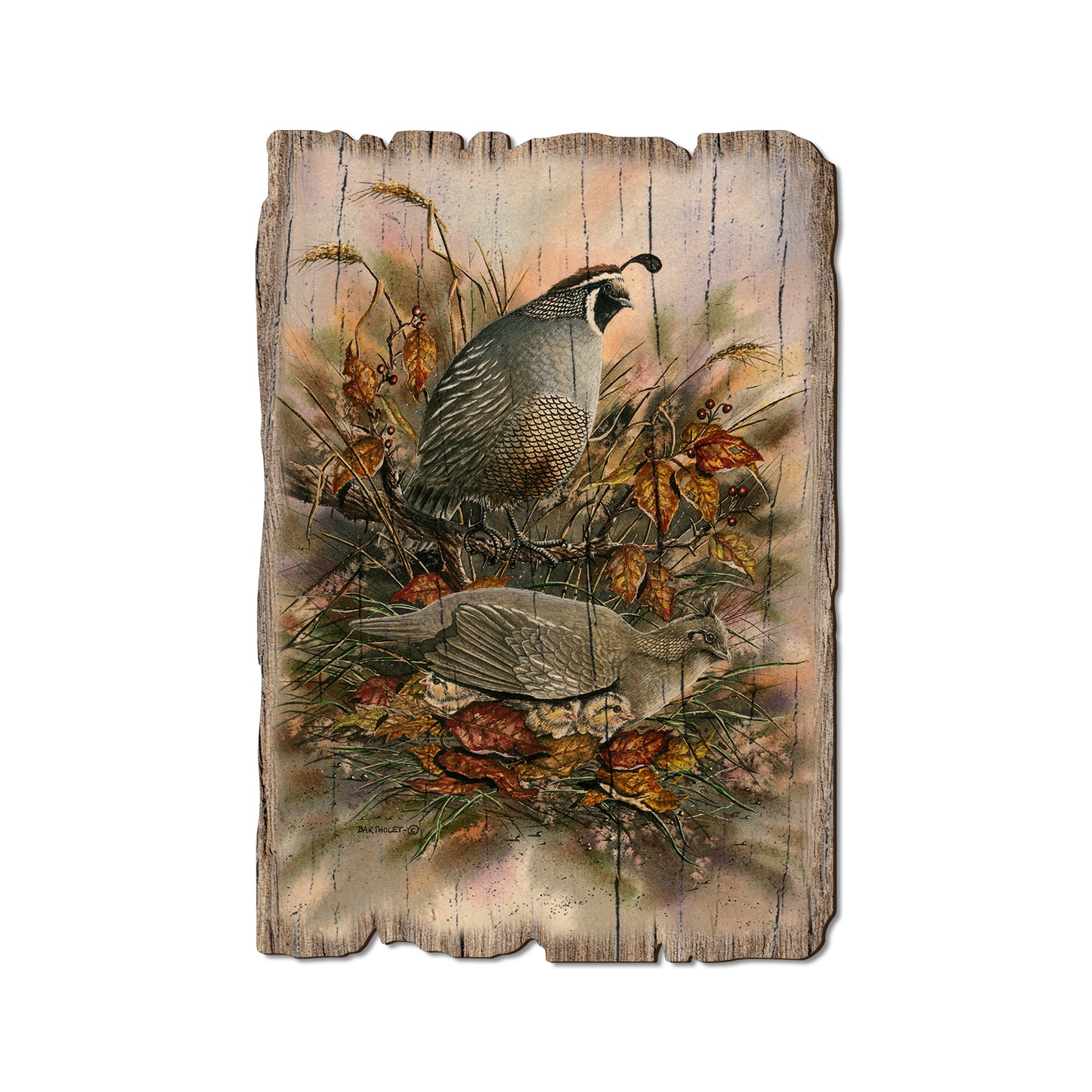 Bartholet's Late Clutch - Rustic Edge Postcards & Magnets Rustic Edge Postcard (5pk // $2.80ea)