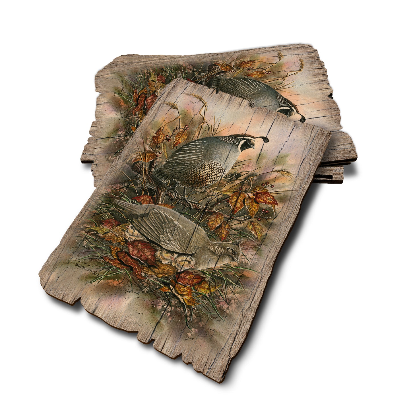Bartholet's Late Clutch - Weathered Edge Rustic Edge Postcard (5pk // $2.80ea)