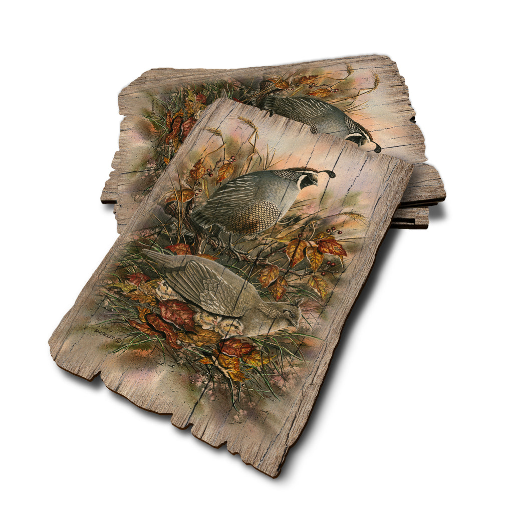 Bartholet's Late Clutch - Weathered Edge Rustic Edge Postcard (5pk // $2.80ea)