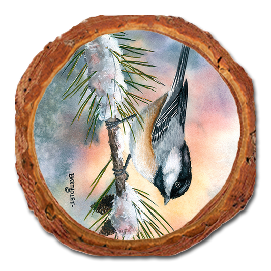 Coaster: Live Edge - Bartholet's Little Flitter