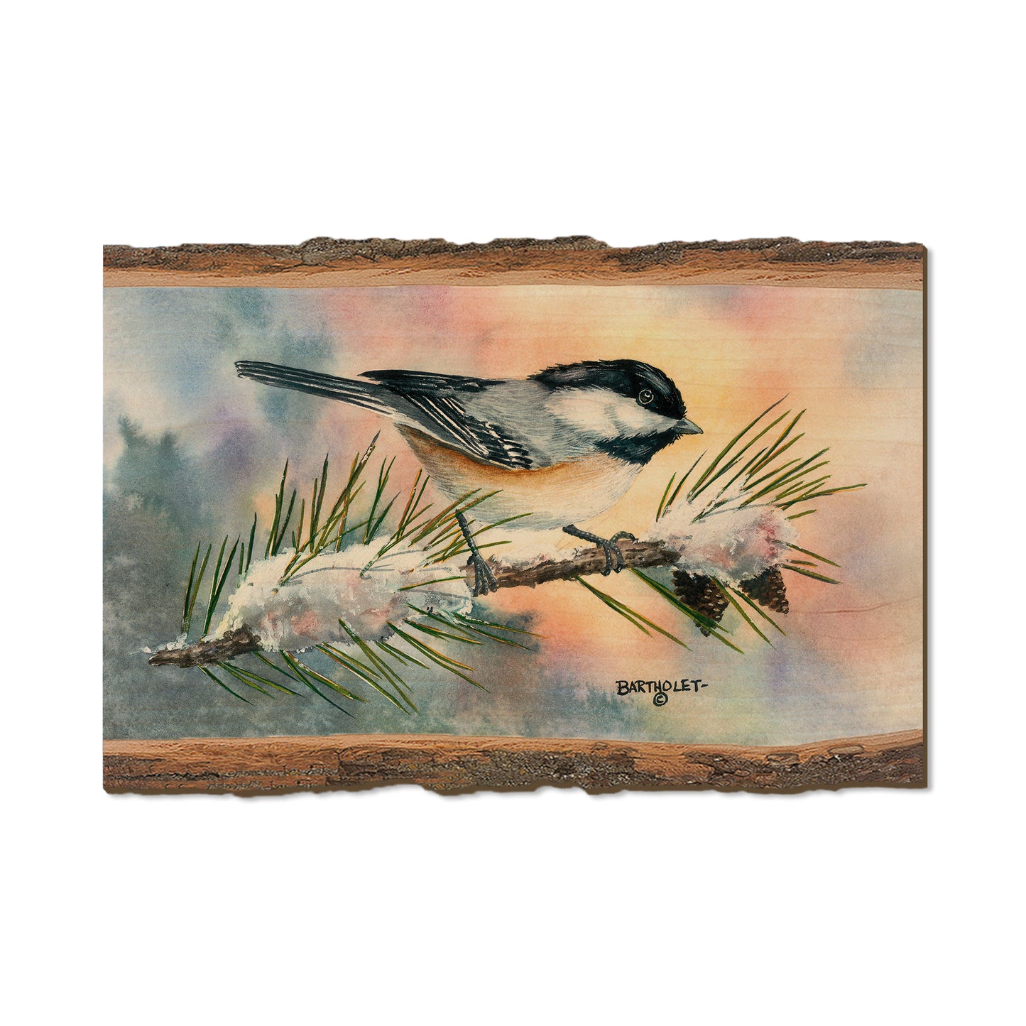 Bartholet's Little Flitter  - Live Edge Live Edge Postcard (5pk // $2.80ea)
