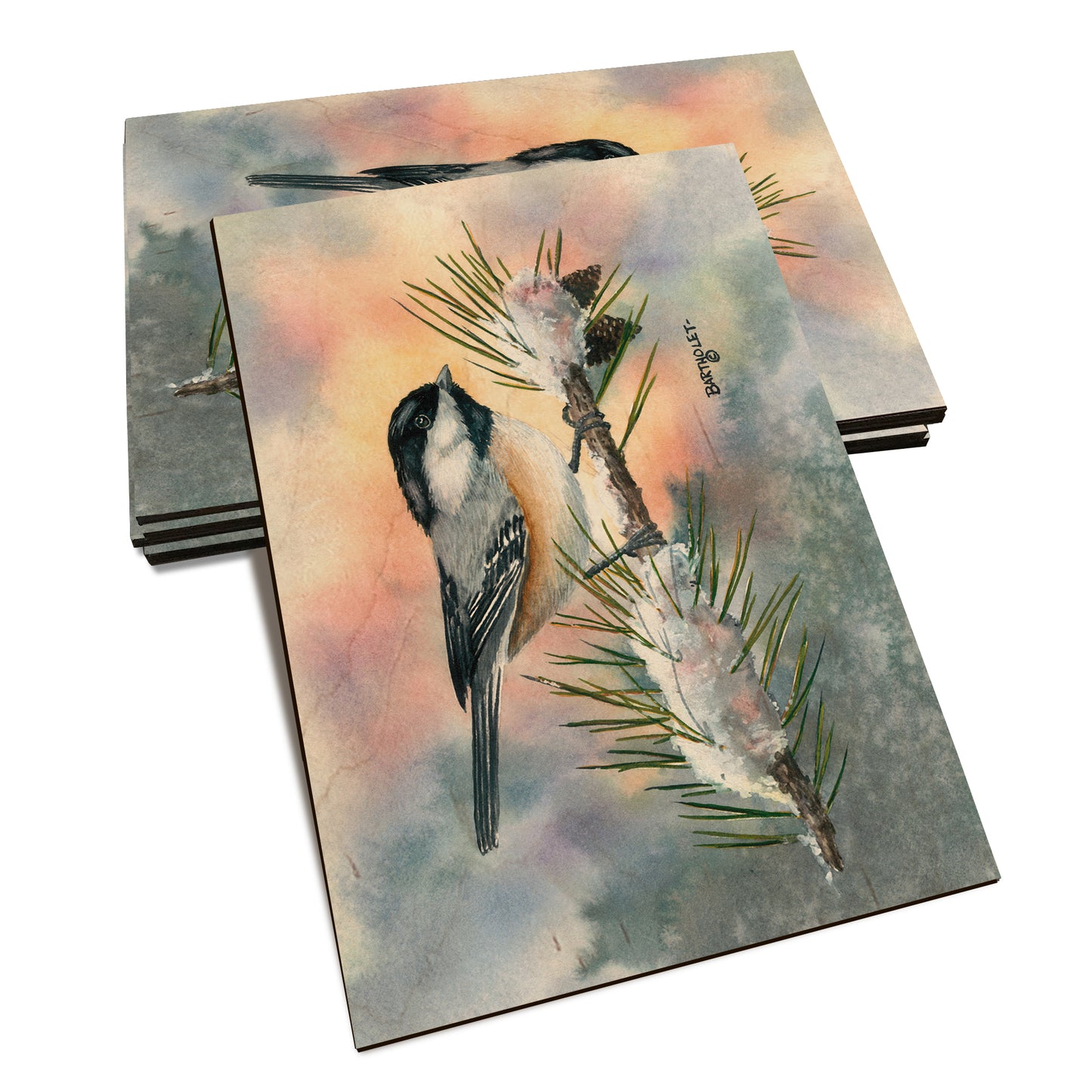 Bartholet's Little Flitter  - Classic Edge Classic Edge Postcard (5pk // $2.80ea)