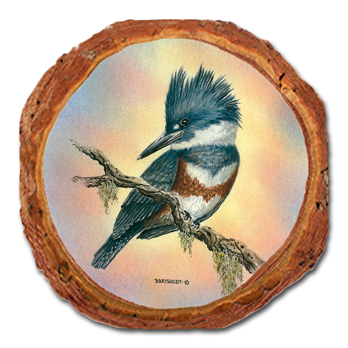 Coaster: Live Edge - Bartholet's Little Lady