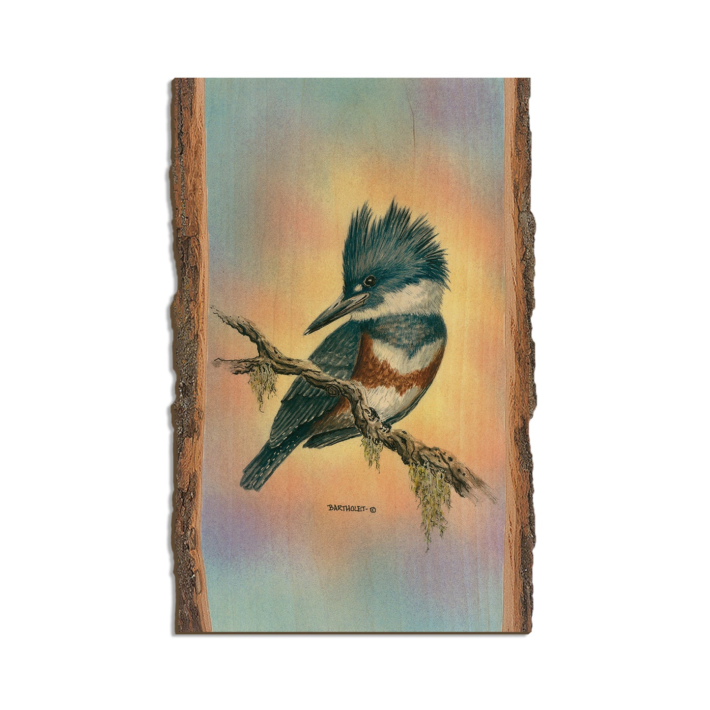 Bartholet's Little Lady  - Live Edge Live Edge Magnet (5pk // $2.80ea)