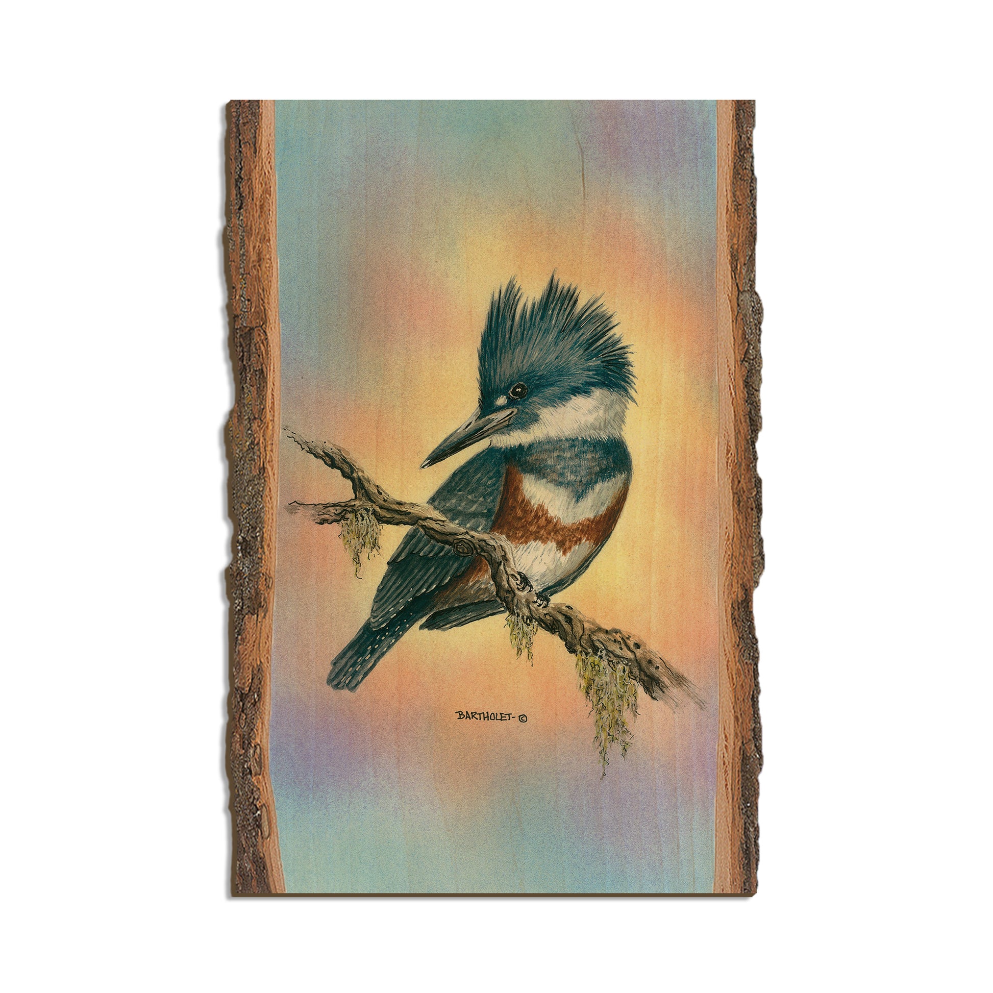 Bartholet's Little Lady  - Live Edge Live Edge Postcard (5pk // $2.80ea)