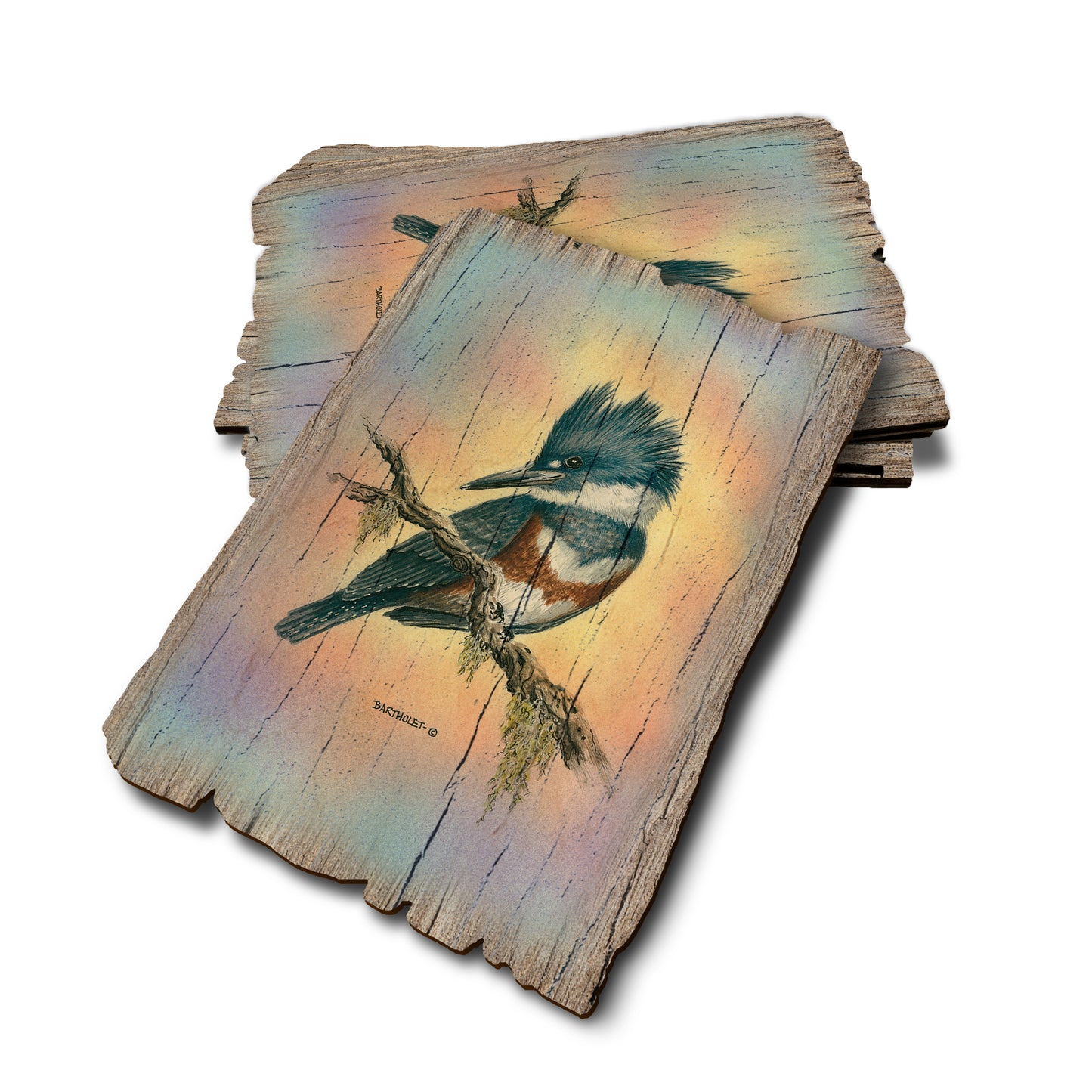 Bartholet's Little Lady - Weathered Edge Rustic Edge Postcard (5pk // $2.80ea)