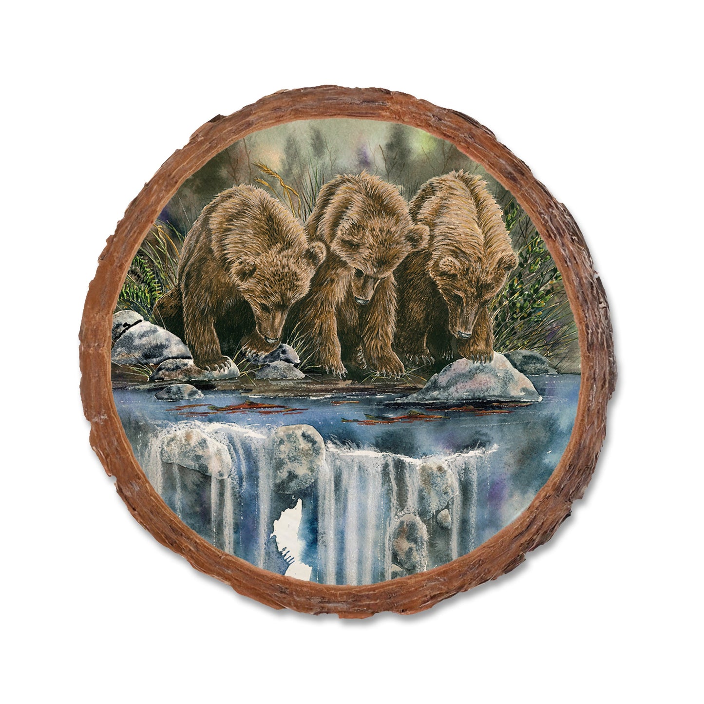 Bartholet's Looks Like Fish (Looks Like Sockeye)  - Live Edge Live Edge Coaster (5pk // $2.80ea)