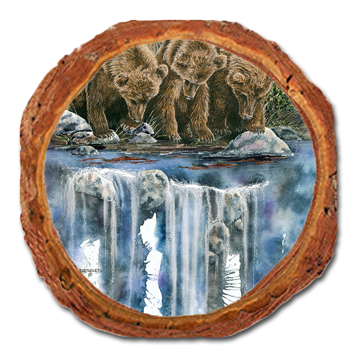 Coaster: Live Edge - Bartholet's Looks Like Fish (Pack of 5)