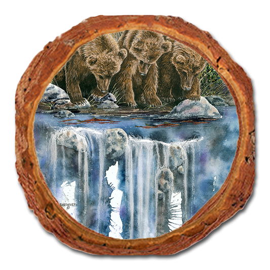 Coaster: Live Edge - Bartholet's Looks Like Fish (Pack of 5)