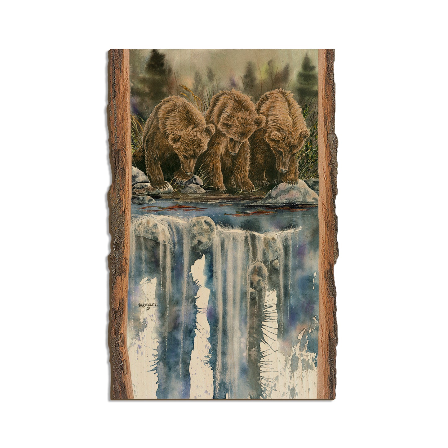 Bartholet's Looks Like Fish (Looks Like Sockeye)  - Live Edge Live Edge Magnet (5pk // $2.80ea)
