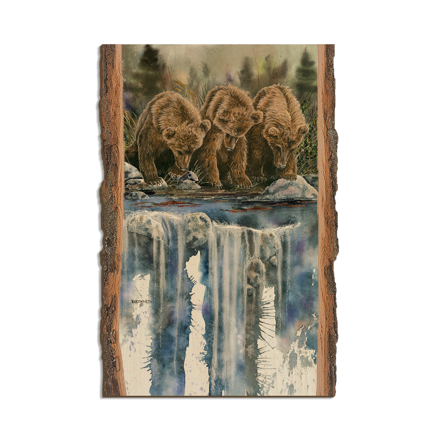 Bartholet's Looks Like Fish (Looks Like Sockeye)  - Live Edge Live Edge Postcard (5pk // $2.80ea)