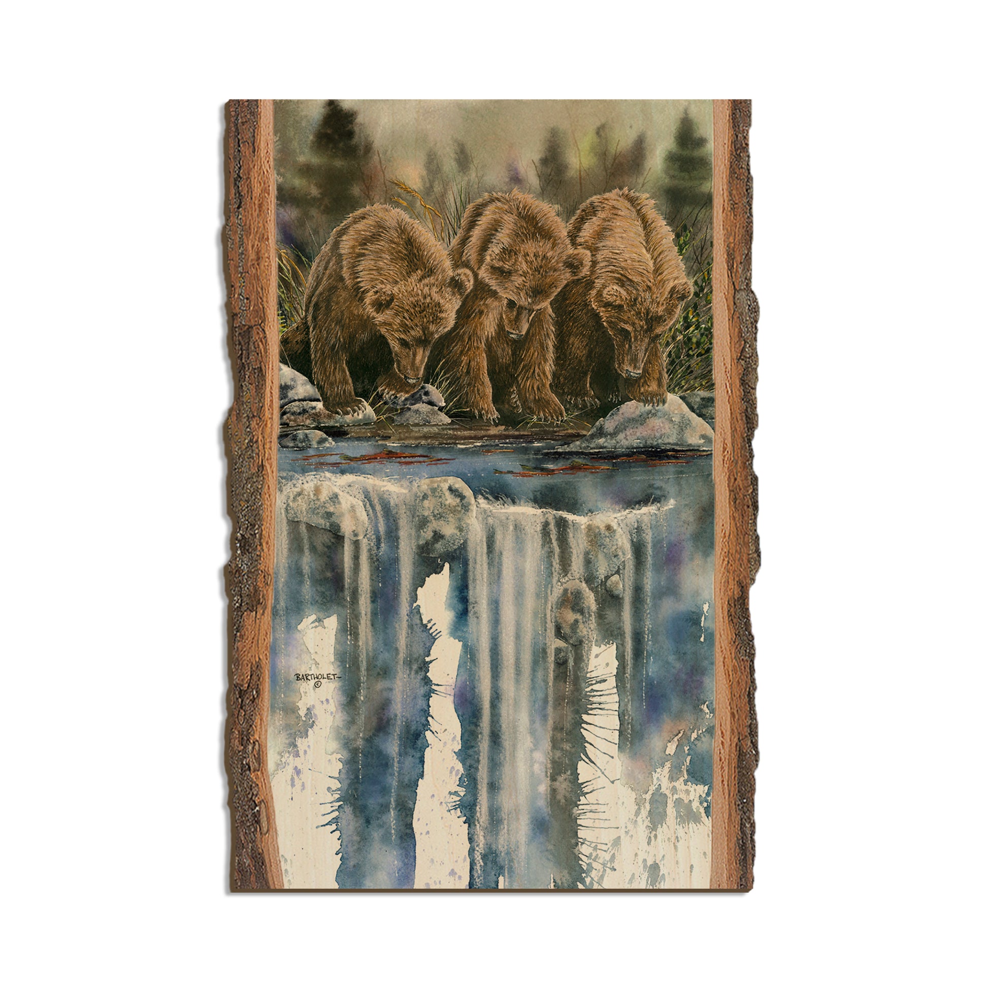 Bartholet's Looks Like Fish (Looks Like Sockeye)  - Live Edge Live Edge Postcard (5pk // $2.80ea)