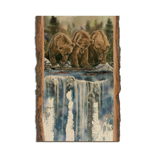 Bartholet's Looks Like Fish (Looks Like Sockeye)  - Live Edge Live Edge Postcard (5pk // $2.80ea)