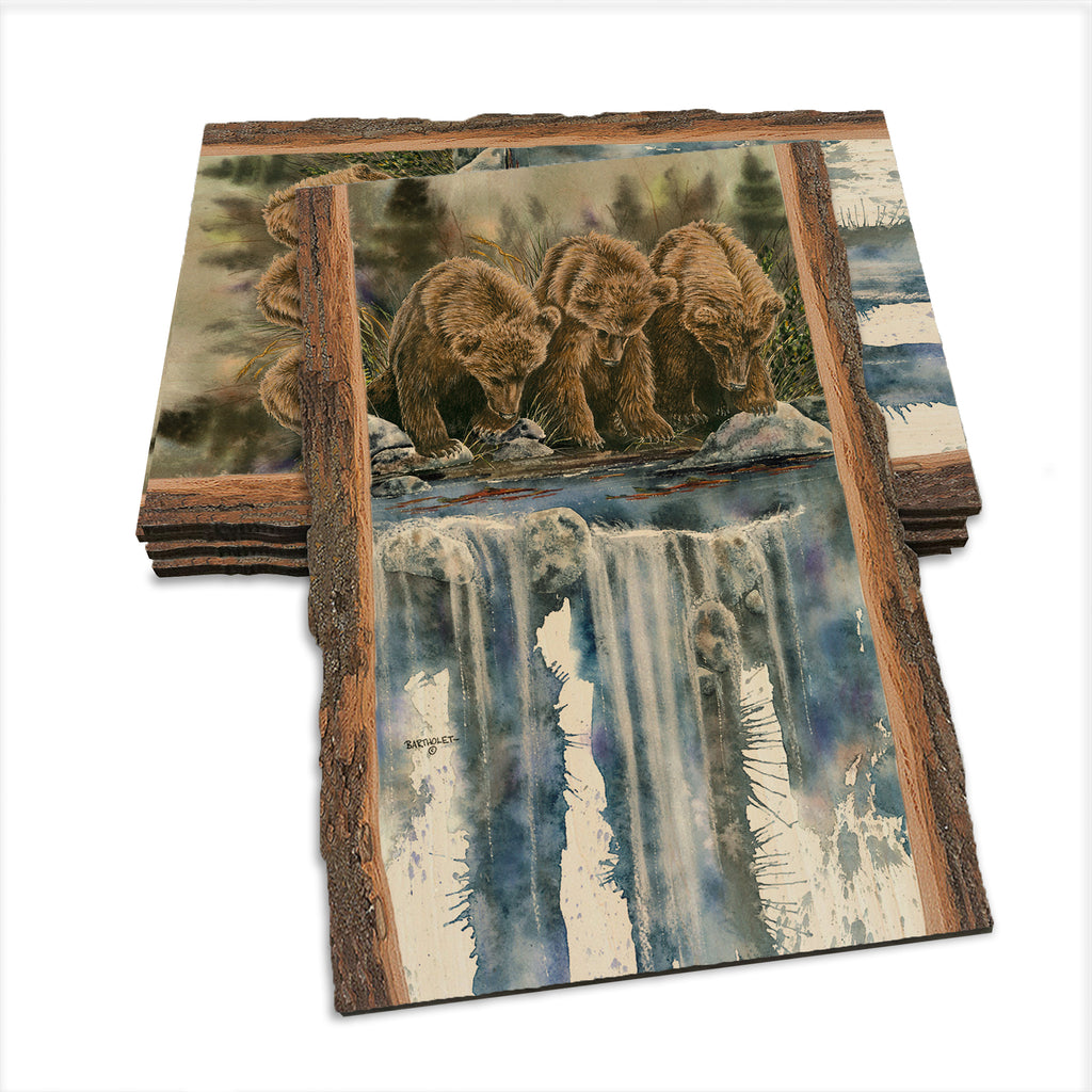 Bartholet's Looks Like Fish (Looks Like Sockeye)  - Live Edge Live Edge Postcard (5pk // $2.80ea)