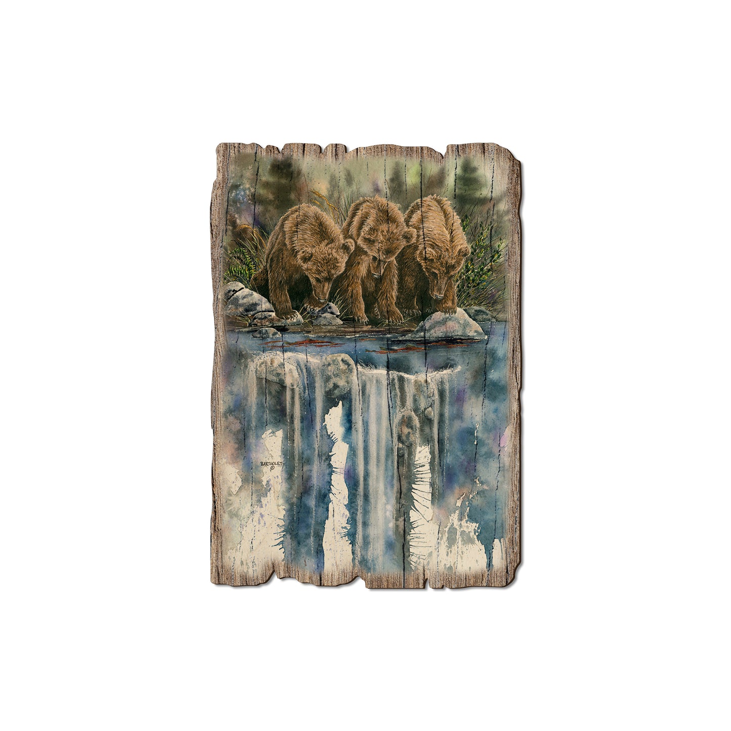 Bartholet's Looks Like Fish - Rustic Edge Postcards & Magnets Rustic Edge Magnet (5pk // $2.80ea)