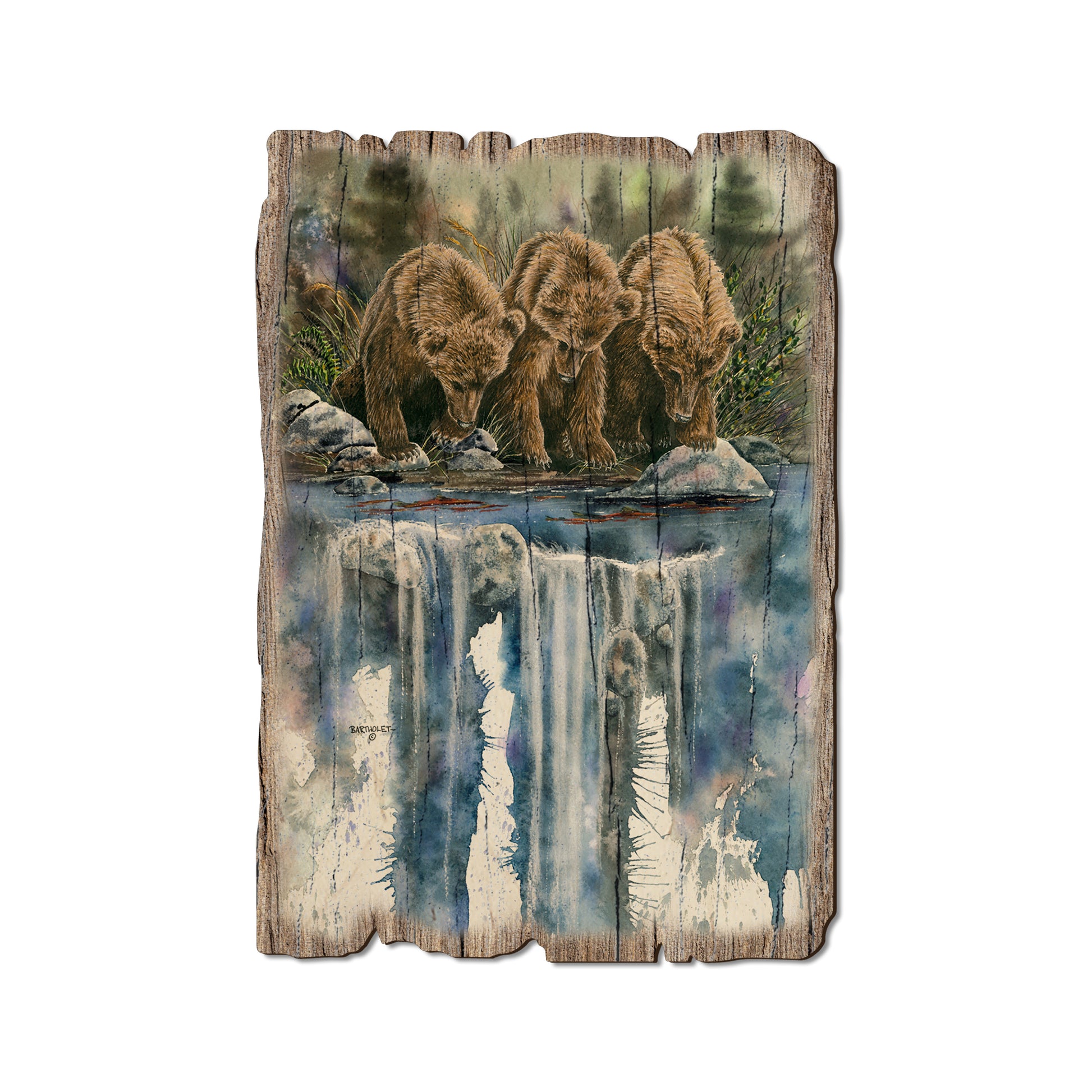 Bartholet's Looks Like Fish - Rustic Edge Postcards & Magnets Rustic Edge Postcard (5pk // $2.80ea)