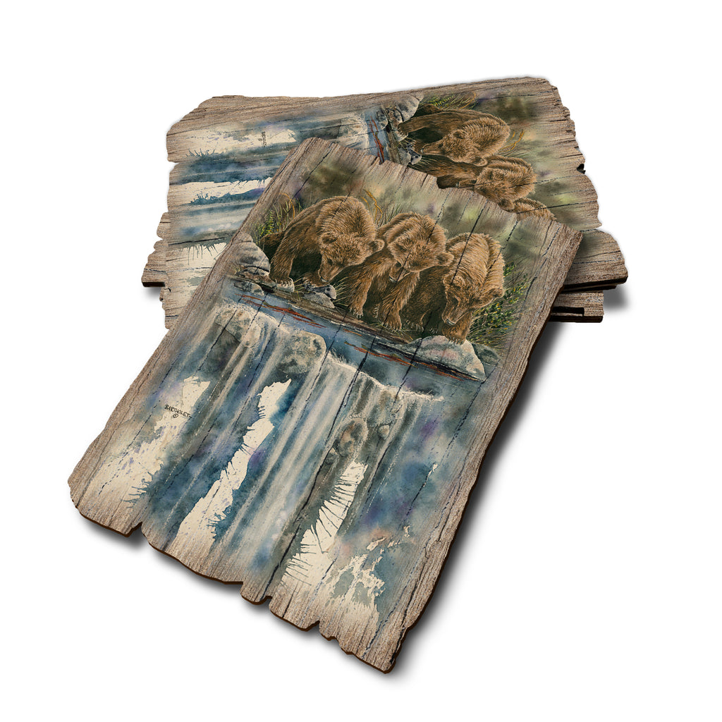 Bartholet's Looks Like Fish - Weathered Edge Rustic Edge Postcard (5pk // $2.80ea)