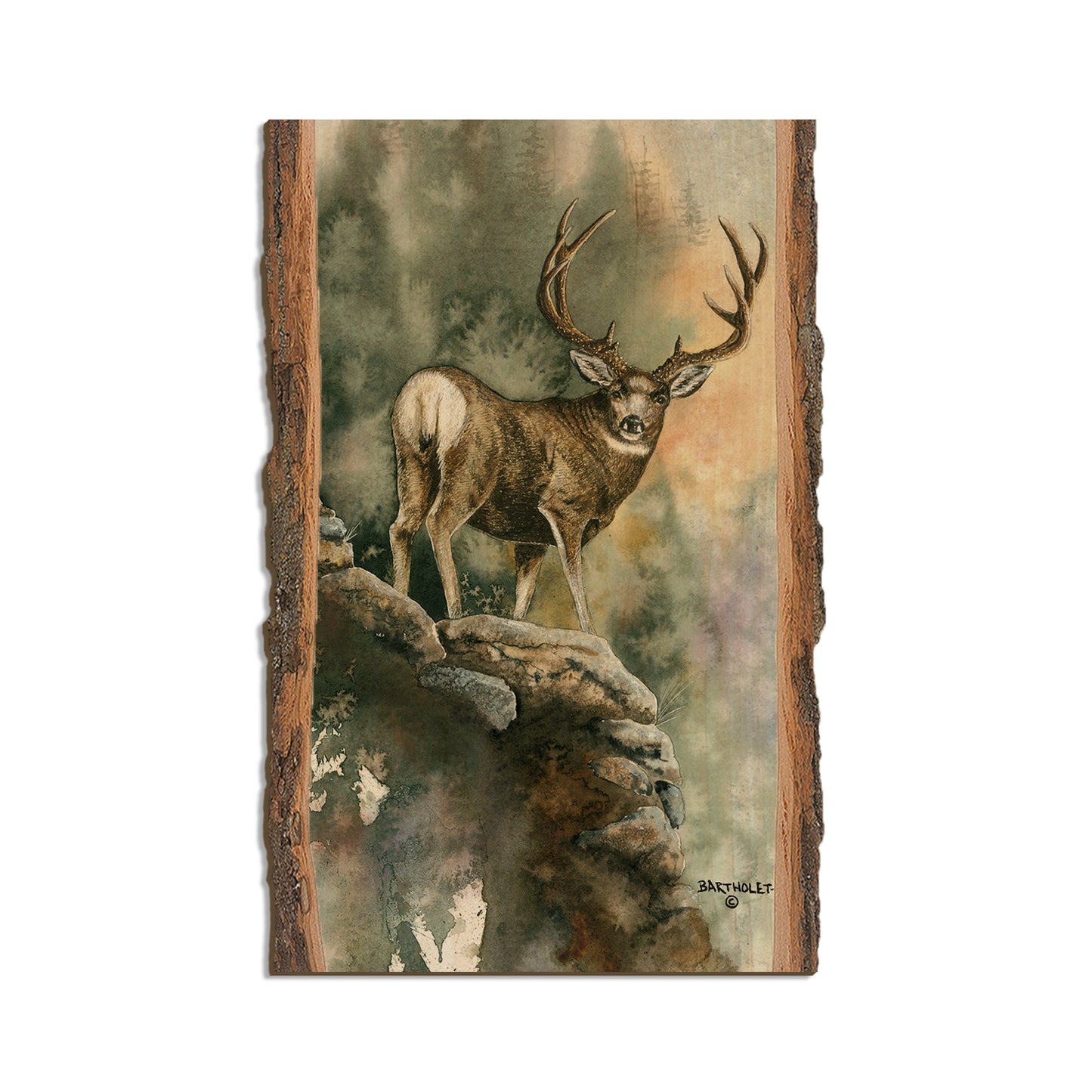 Bartholet's Last Light Muley  - Live Edge Live Edge Magnet (5pk // $2.80ea)