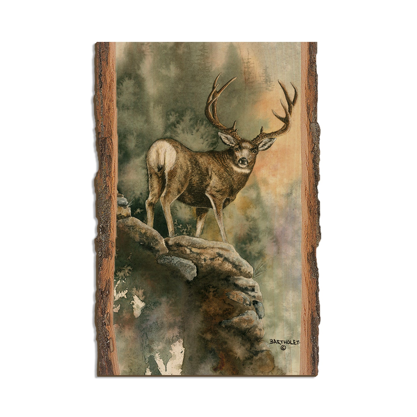 Bartholet's Last Light Muley  - Live Edge Live Edge Postcard (5pk // $2.80ea)