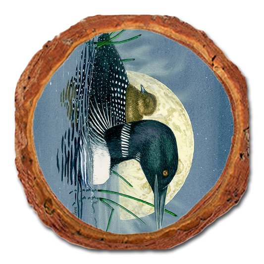 Coaster: Live Edge - Bartholet's Loon Moon