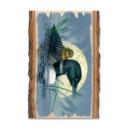Magnet: Live Edge - Bartholet's Loon Moon