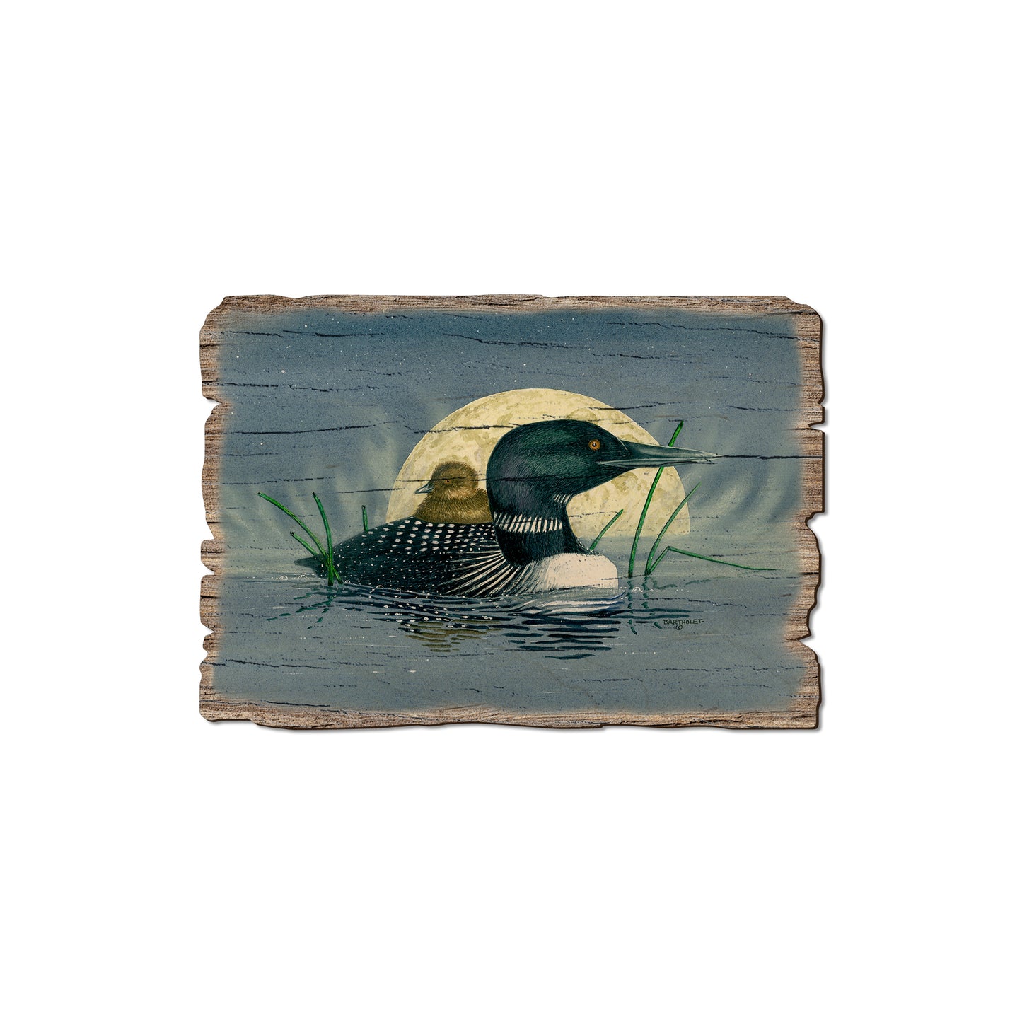 Bartholet's Loon Moon - Rustic Edge Postcards & Magnets Rustic Edge Magnet (5pk // $2.80ea)