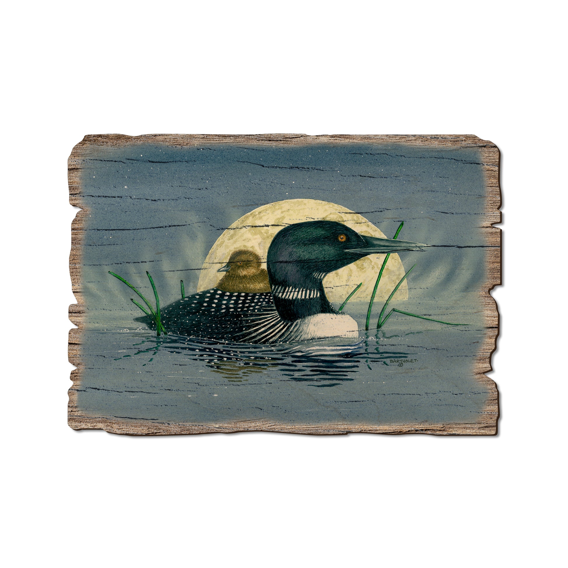 Bartholet's Loon Moon - Rustic Edge Postcards & Magnets Rustic Edge Postcard (5pk // $2.80ea)