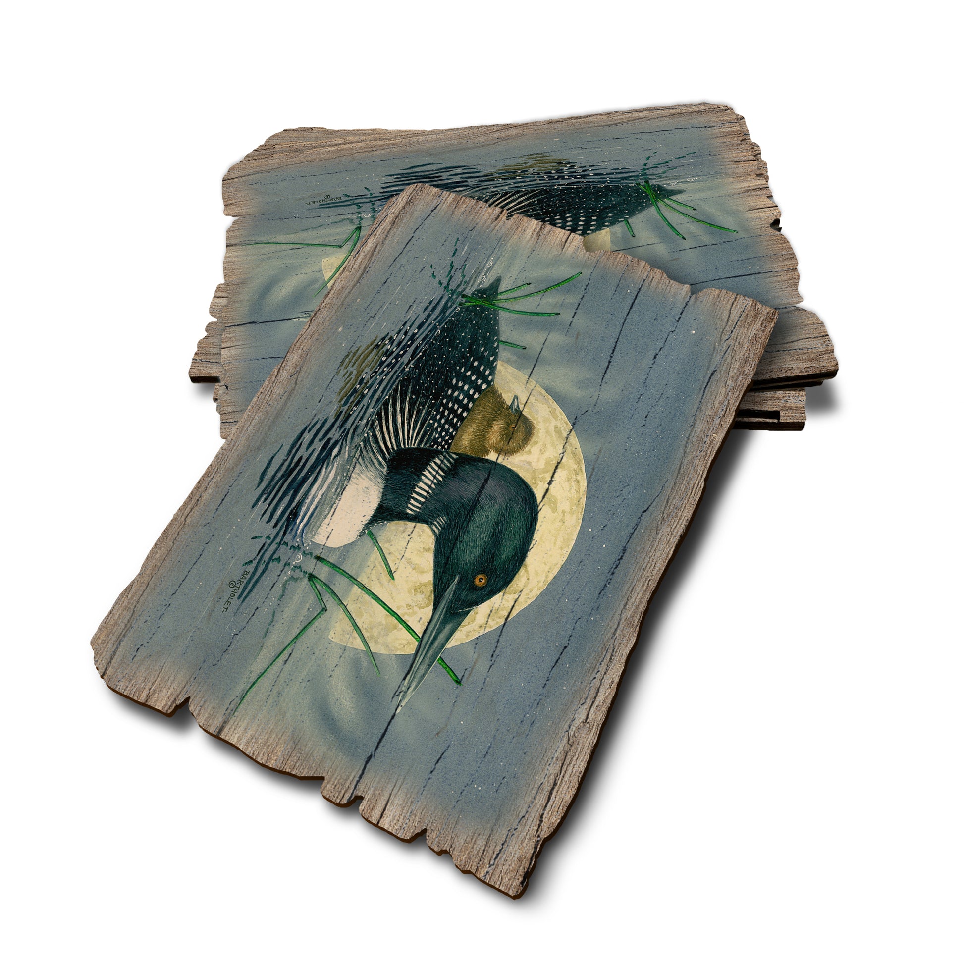 Bartholet's Loon Moon - Weathered Edge Rustic Edge Postcard (5pk // $2.80ea)