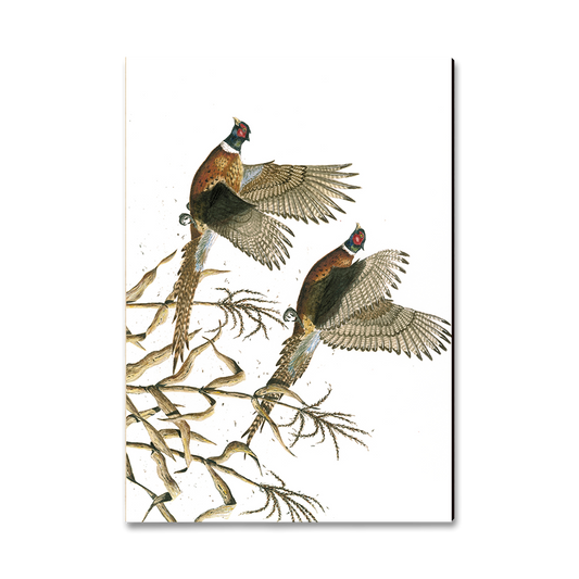 Magnet: Classic Edge - Bartholet's Long Tails