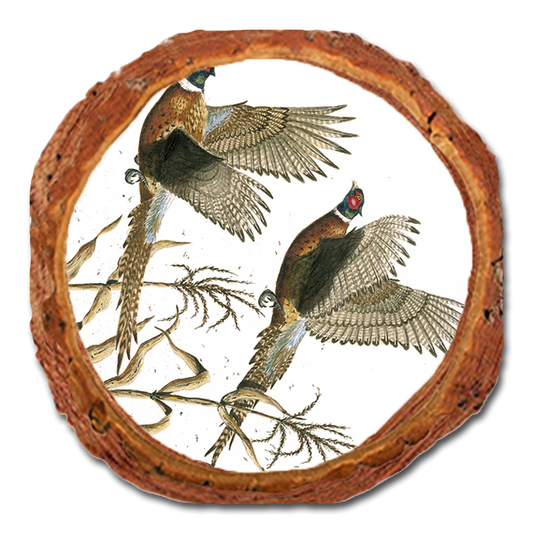Coaster: Live Edge - Bartholet's Long Tails (Pack of 5)