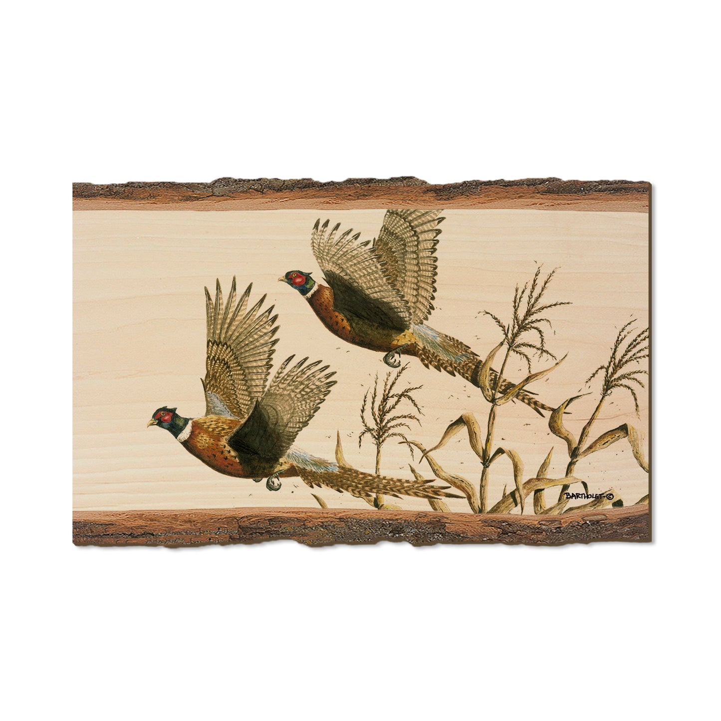 Bartholet's Long Tails  - Live Edge Live Edge Magnet (5pk // $2.80ea)