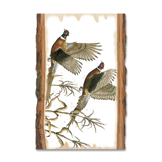 Magnet: Live Edge - Bartholet's Long Tails