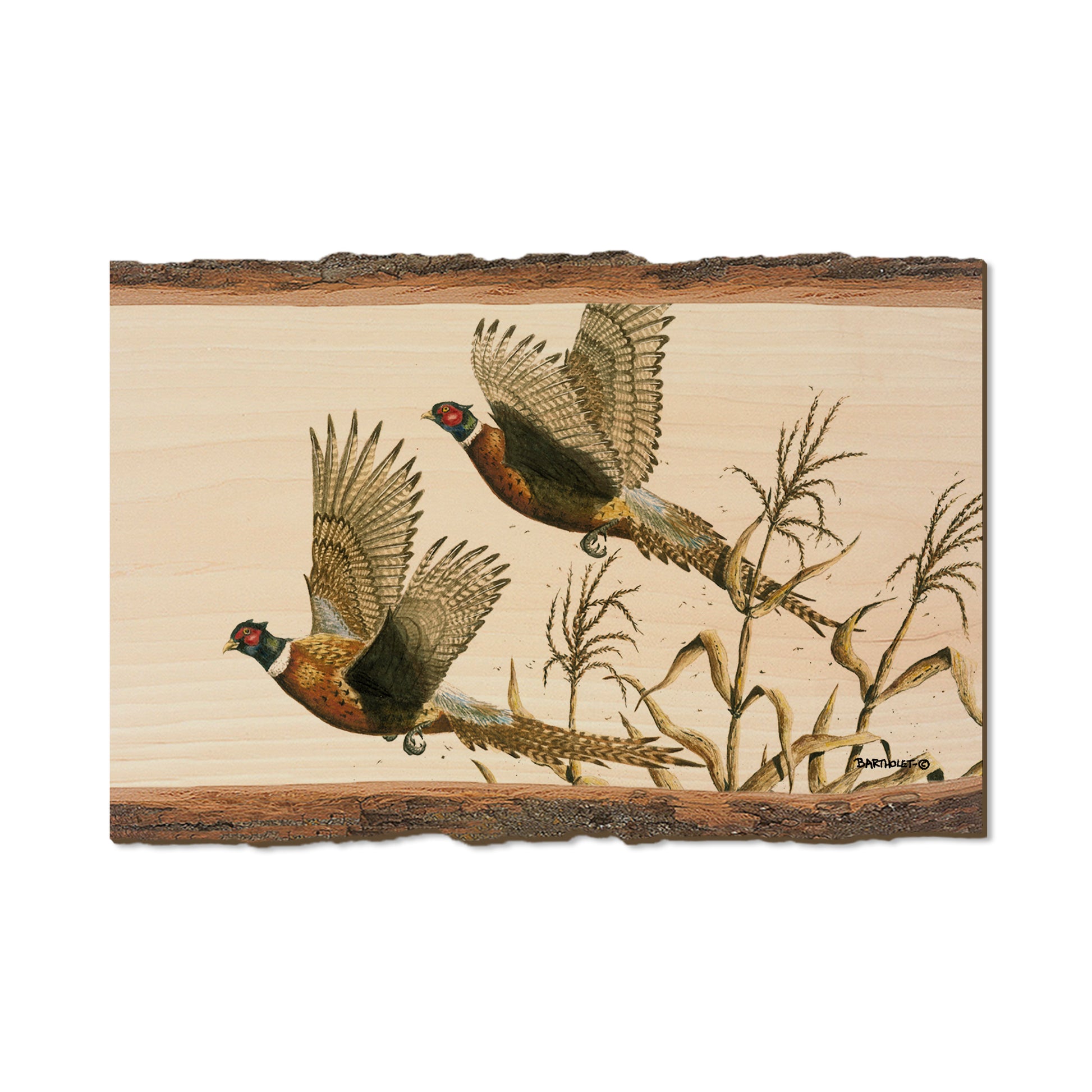 Bartholet's Long Tails  - Live Edge Live Edge Postcard (5pk // $2.80ea)