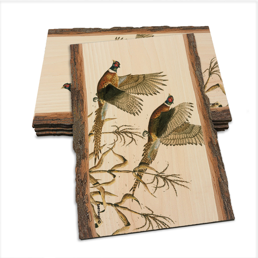 Bartholet's Long Tails  - Live Edge Live Edge Postcard (5pk // $2.80ea)
