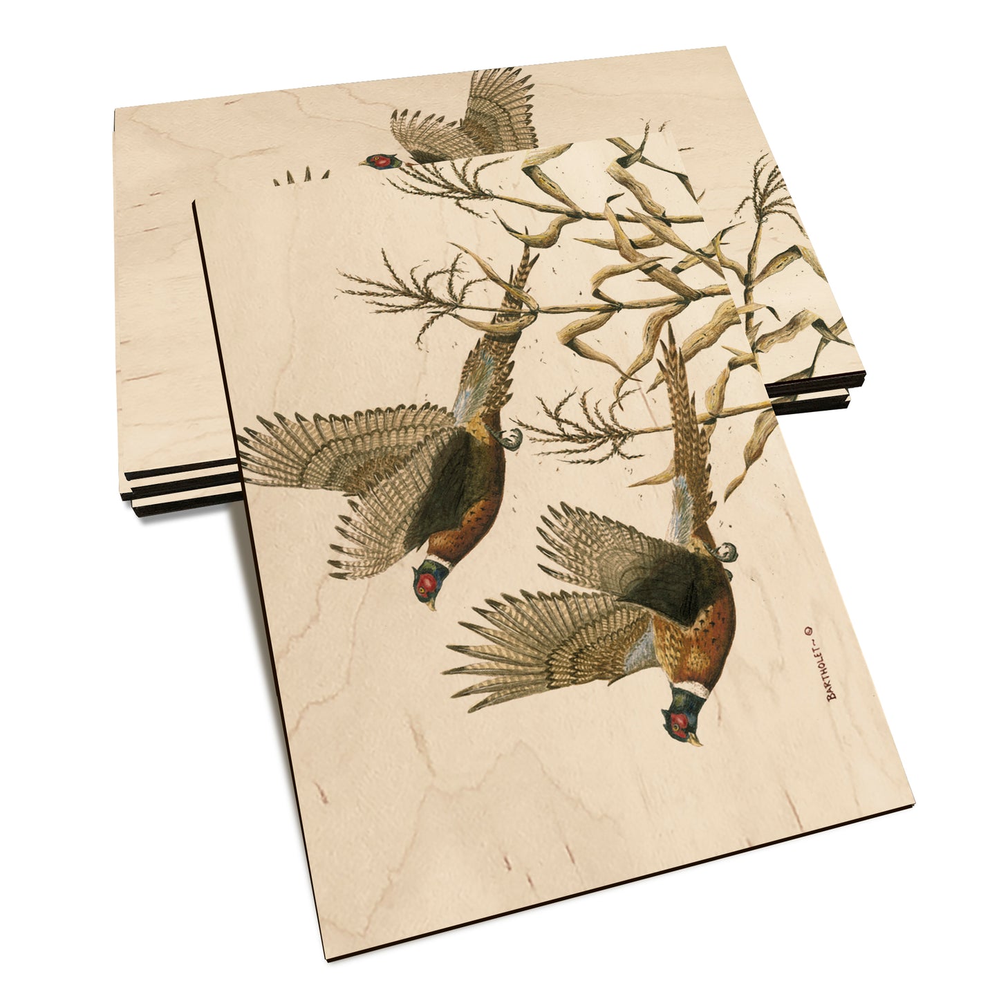 Bartholet's Long Tails  - Classic Edge Classic Edge Postcard (5pk // $2.80ea)