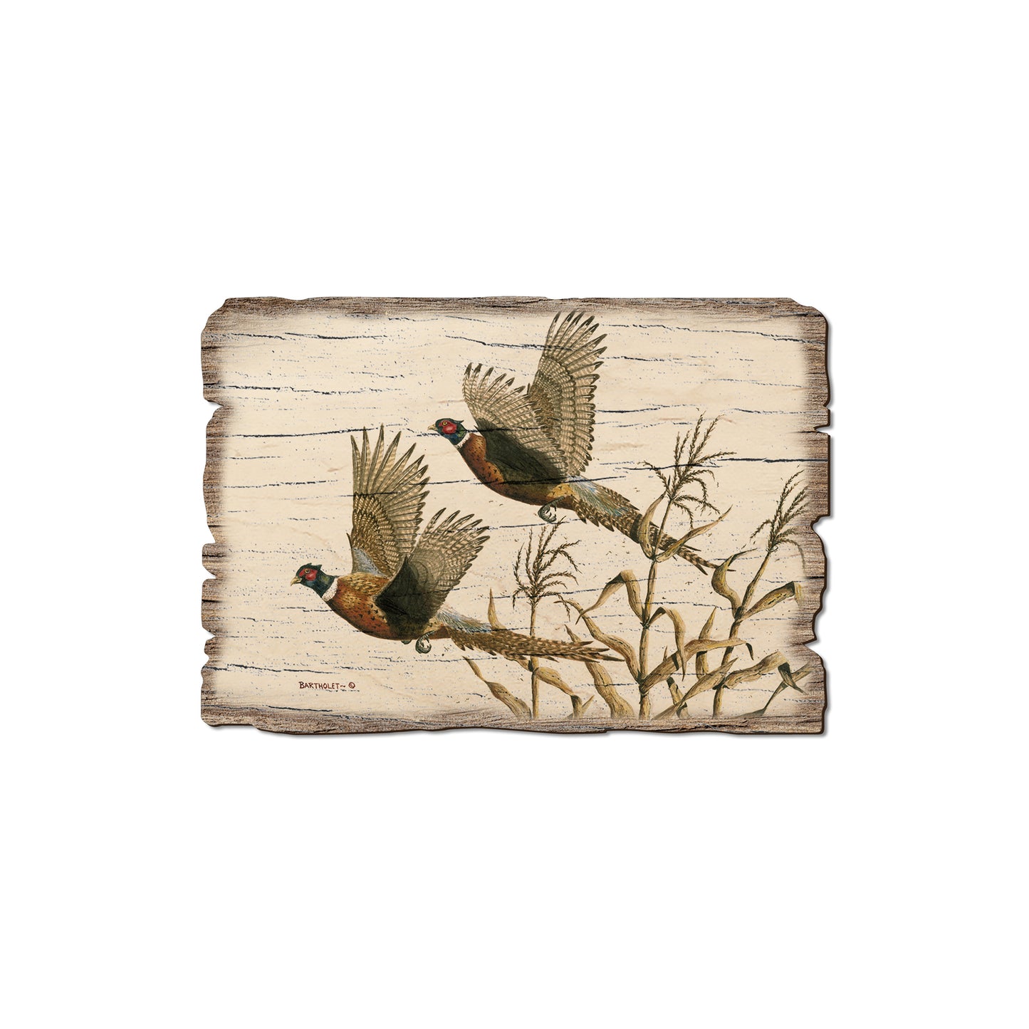 Bartholet's Long Tails - Rustic Edge Postcards & Magnets Rustic Edge Magnet (5pk // $2.80ea)