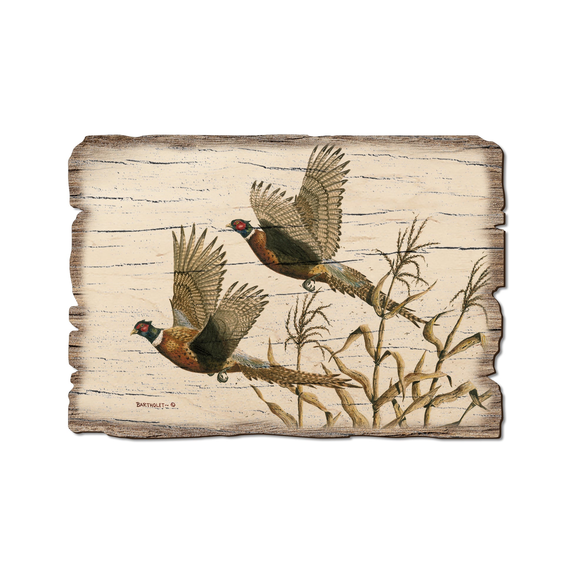Bartholet's Long Tails - Rustic Edge Postcards & Magnets Rustic Edge Postcard (5pk // $2.80ea)