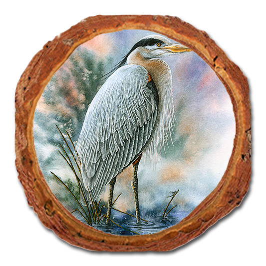 Coaster: Live Edge - Bartholet's Marsh Master (Pack of 5)