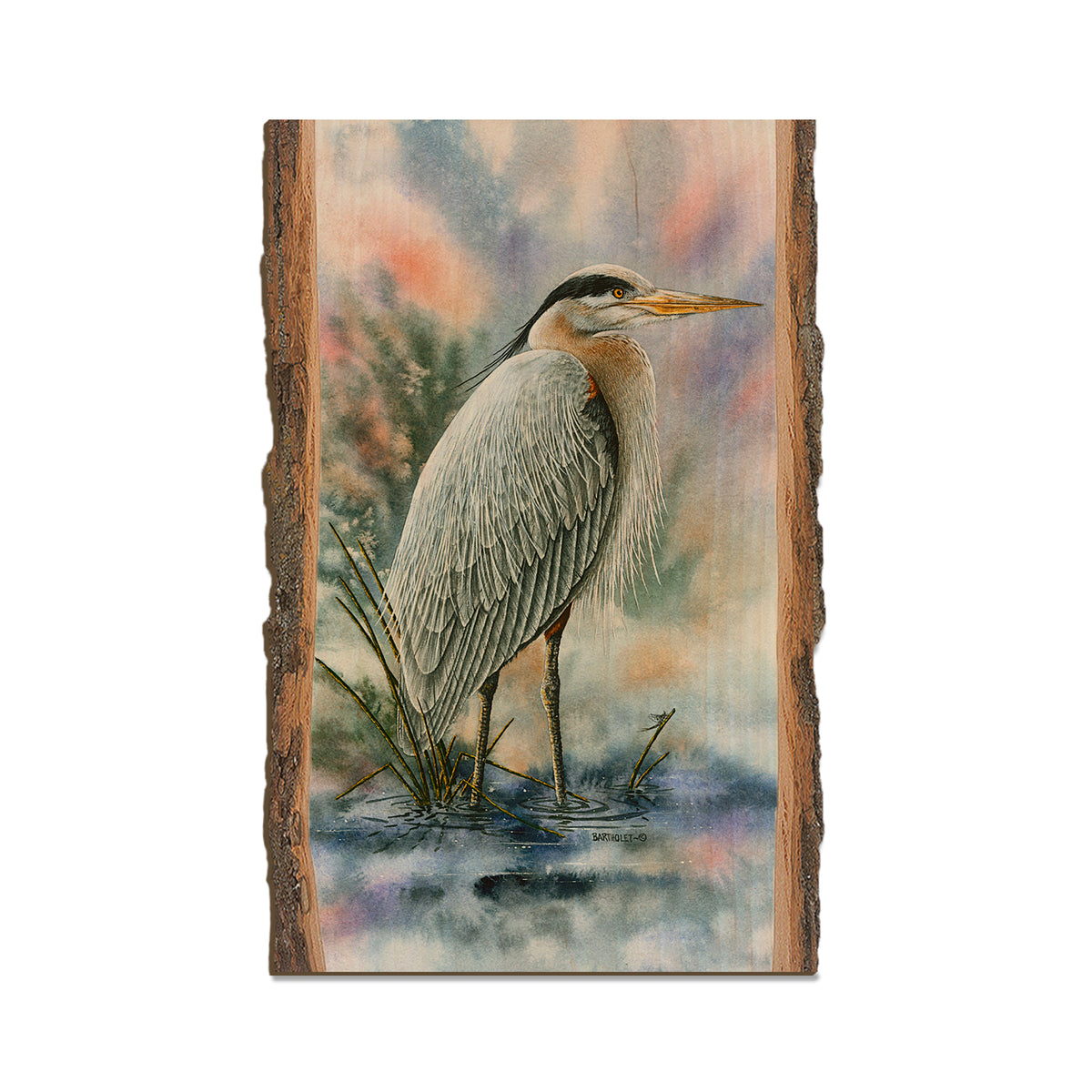 Bartholet's Marsh Master  - Live Edge Live Edge Magnet (5pk // $2.80ea)